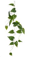 PHILODENDRON HANGING GREEN - L115XW37XH10CM-en