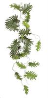 PHILODENDRON SELLOUM HANGING GREEN - L115XW37XH9CM-en