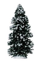 EVERGREEN TREE, LARGE-en