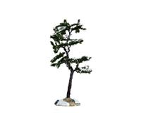 MARCESCENT TREE, SMALL