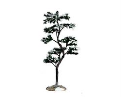 MARCESCENT TREE, LARGE-en