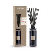 BOUQUET PROFUMATO INITIAL CON RICARICA 75 ML ESPRIT DE THÉ --en