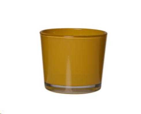 P.CANDELE CONNER REGULAR MUSTARD H9 D10-en