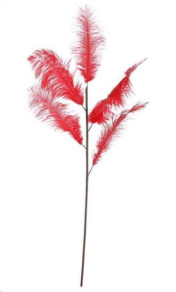 PICK FEATHER RED - L125XW30CM-en