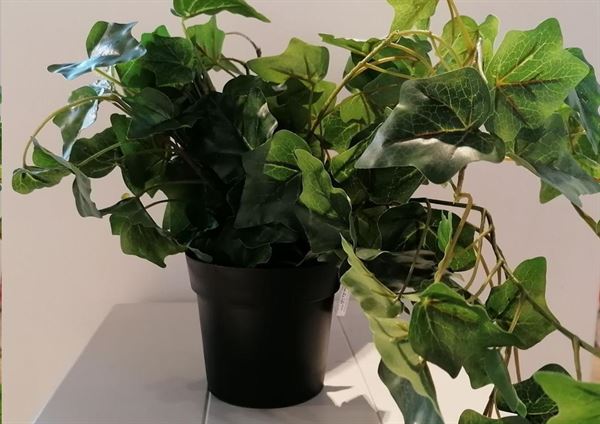 HANG PLANT IN PP POT 80CM-en