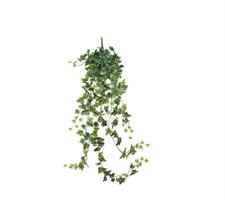 IVY HANGING VERDE VARIEGATO CM129-en