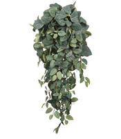 PILEA HANGING VERDE CM70X30X20-en