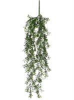 BOXWOOD HANGING VERDE CM74 LUCIDO-en