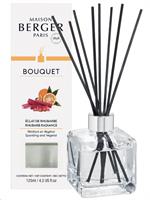 BOUQUET GLACON A BASTONCINI 125ML ECLAT DE RHUBARBE-en