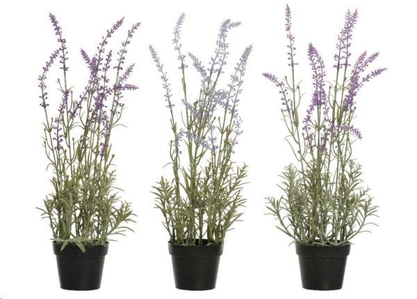 PLANT PLASTIC L14.00-W14.00-H46.00CM ASS.-en