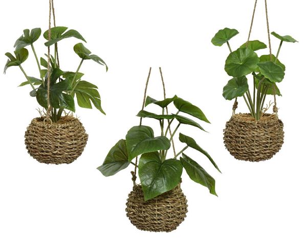 PLANT PU L11.00-W11.00-H32.00CM GREEN/COL.-en