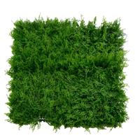 DECO PANNELLO FORESTA CM100X100-en