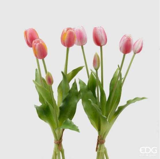 TULIPANO GOMM.OLIS MZ5PZH40(CHIUSI)TT.PINK-en