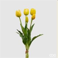 TULIPANO GOMM.OLIS MZ5PZH40(CHIUSI)C0 YELLOW-en