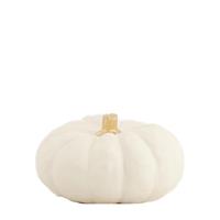 PUMPKIN POLYRESIN Ø8X3.5CM WHITE-en