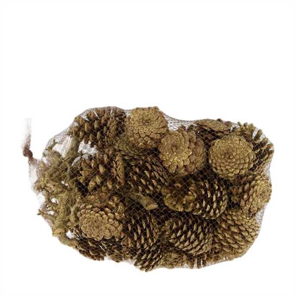 PINECONE MIXED WITH BRANCH CURLY 1KG NATURE 40X25X25CM GOLD