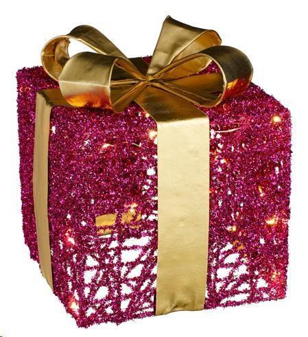 PRESENT FUCHSIA 25 LED BATTERY OPERATED - L25XW25XH30CM