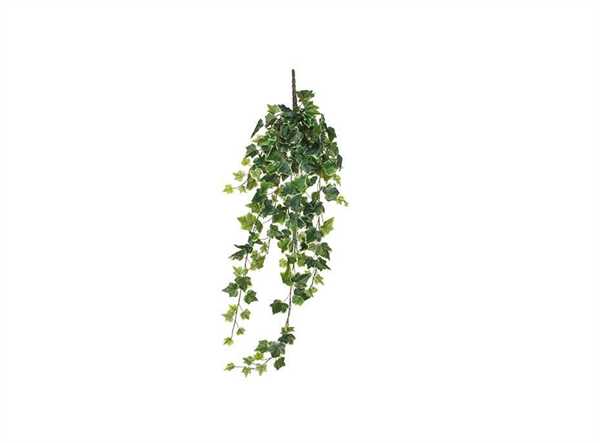 IVY VERDE VARIEGATA PENDENTE 86X22XH.15CM