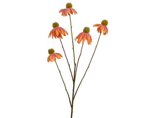 ECHINACEA IN POLIESTERE CM.92H.