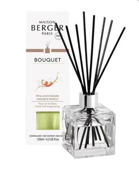 Elimina Odori Bagno – Diffusore a Bastoncini 125ml Fresco e Acquatico –  Maison Berger - Candle Store