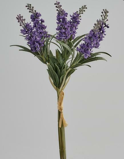 LAVANDA FIORITA MZ.X6 H,35 PU