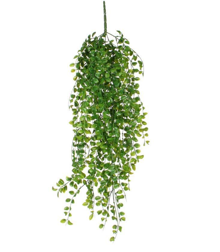 FICUS VERDE PENDENTE 81X24XH.10CM