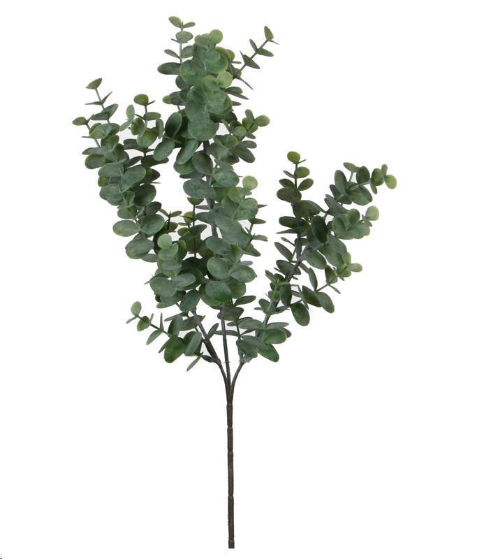 EUCALYPTUS MAZZO VERDE CM.65H