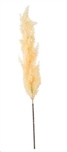 ASTILBE SINGOLA CM.95H BEIGE