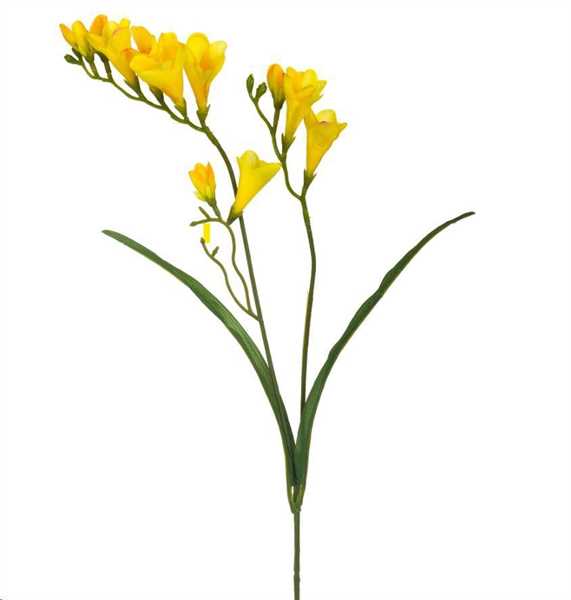 FRESIA X 3 69CM. GIALLO