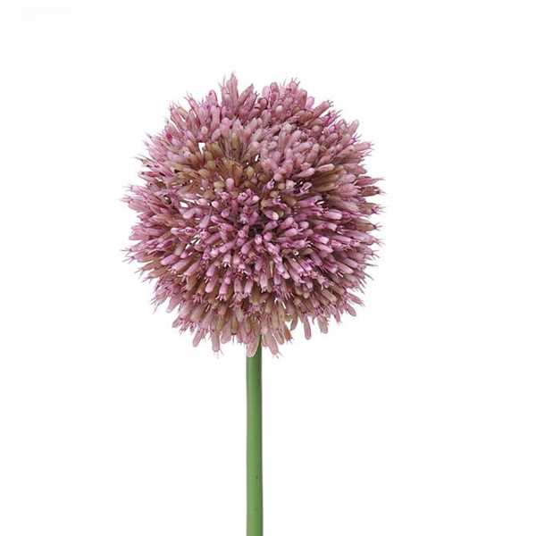 ALLIUM 66CM. LAVANDA