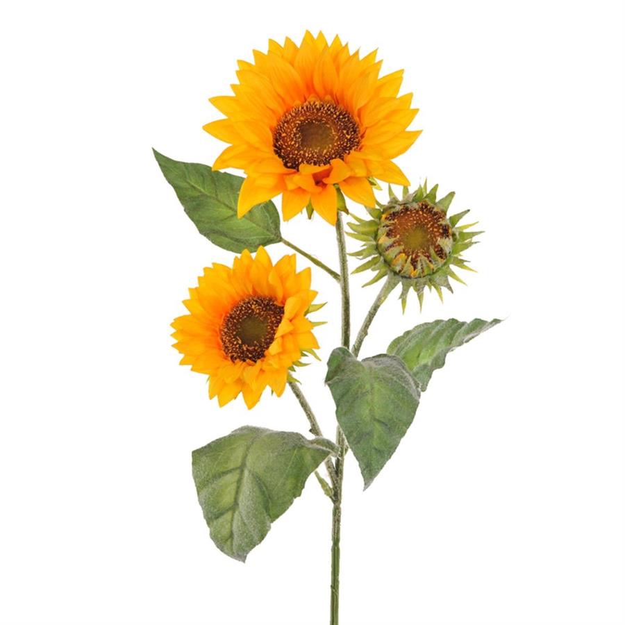 GIRASOLE X 3 85 CM. GIALLO