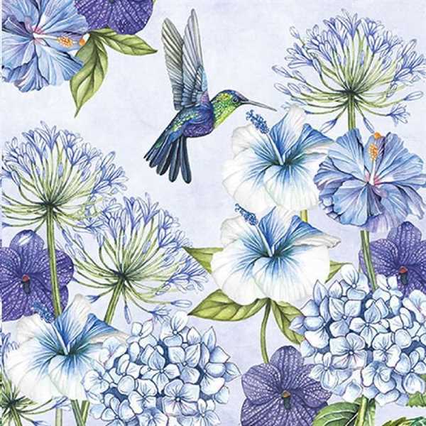 CONFEZIONE 20 TOVAGLIOLI COLIBRI' BLU CM.33X33