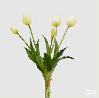 TULIPANO GOMM.OLIS MZ5PZH40(CHIUSI)C0 WHITE