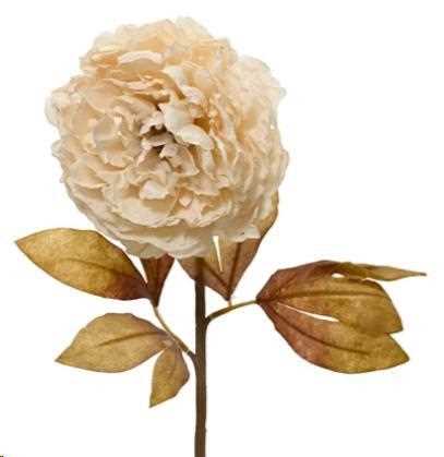 PEONIA CON FOGLIE POLIESTERE CM.D20X75H OFF-WHITE