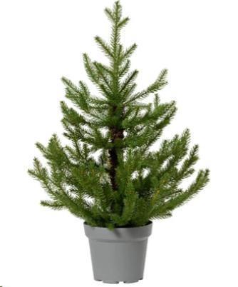 ALBERO NATALE NORWAY MINI VERDE CM Ø63 H90