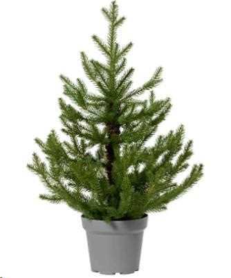 ALBERO DI NATALE NORWAY MINI VERDE CM Ø63 H90