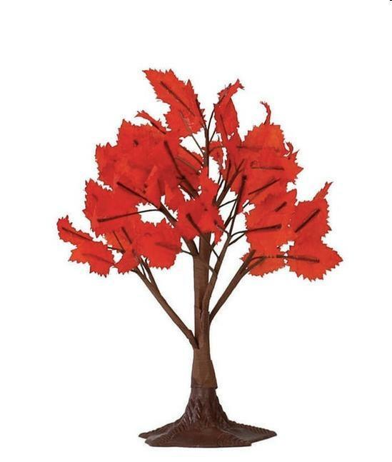 MAPLE TREE, MEDIUM