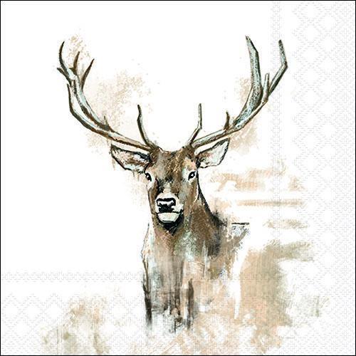 CONF.20 TOVAGLIOLI CM.33X33 ANTLERS