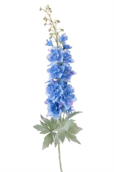 DELPHINIUM H.93 CM. BLU