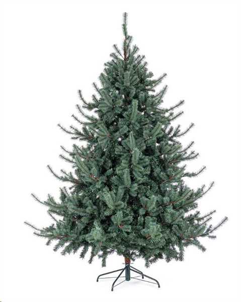 ALBERO SERRONE GLAUCO H.CM.240 2322 RAMI