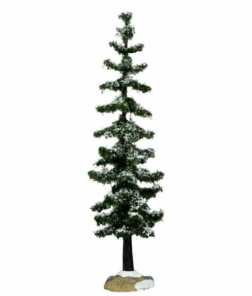 BLUE SPRUCE TREE, LARGE