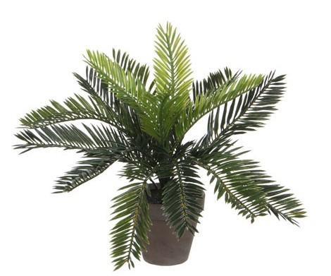 CYCAS PALM IN VASO CM.D11,5 - CM.D34X33H GRIGIO